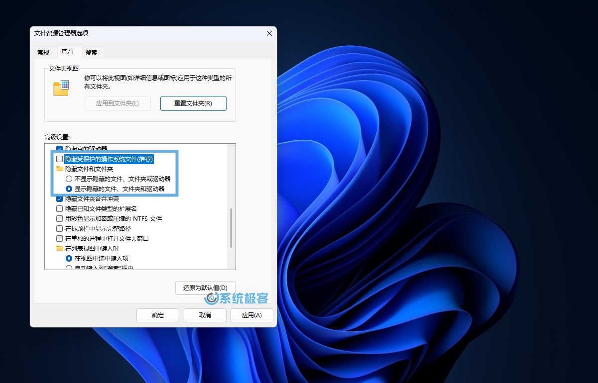 文件资源管理器选项