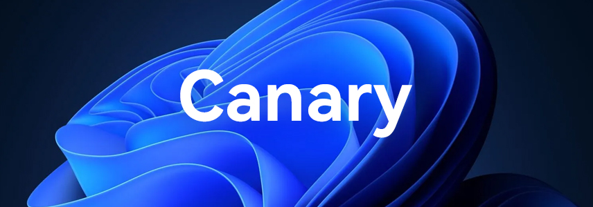 Windows 11 Canary